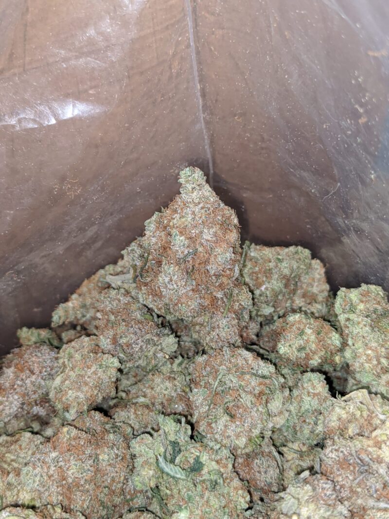 $ 56 Oz – Island Punch - Image 6
