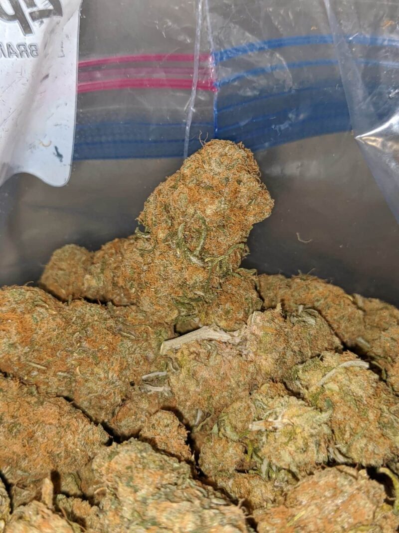 Island Sweet Skunk – *Deal Of The Day* - Image 7