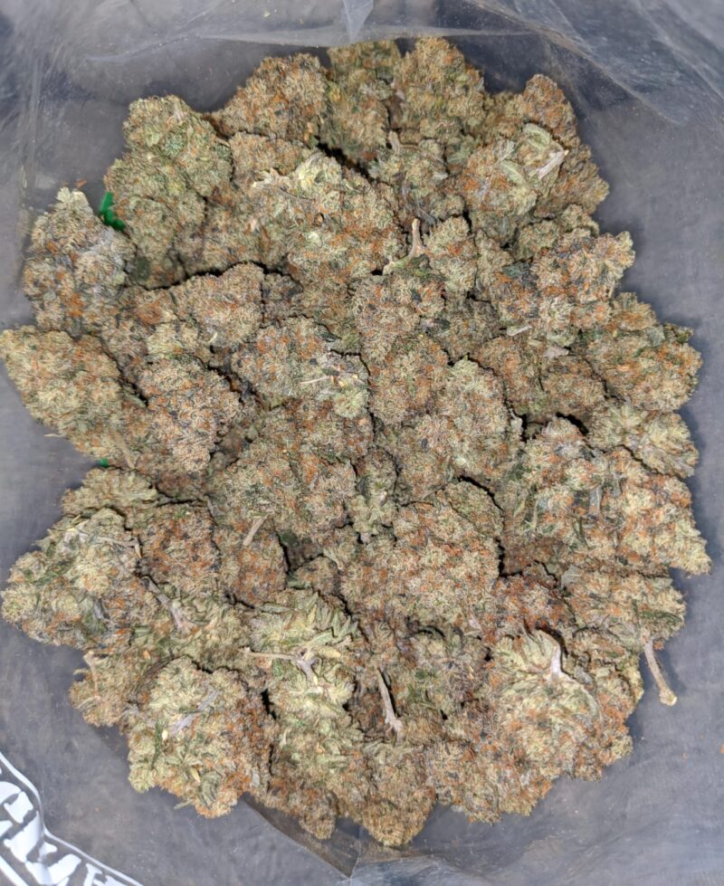 Jack Diesel - Image 6