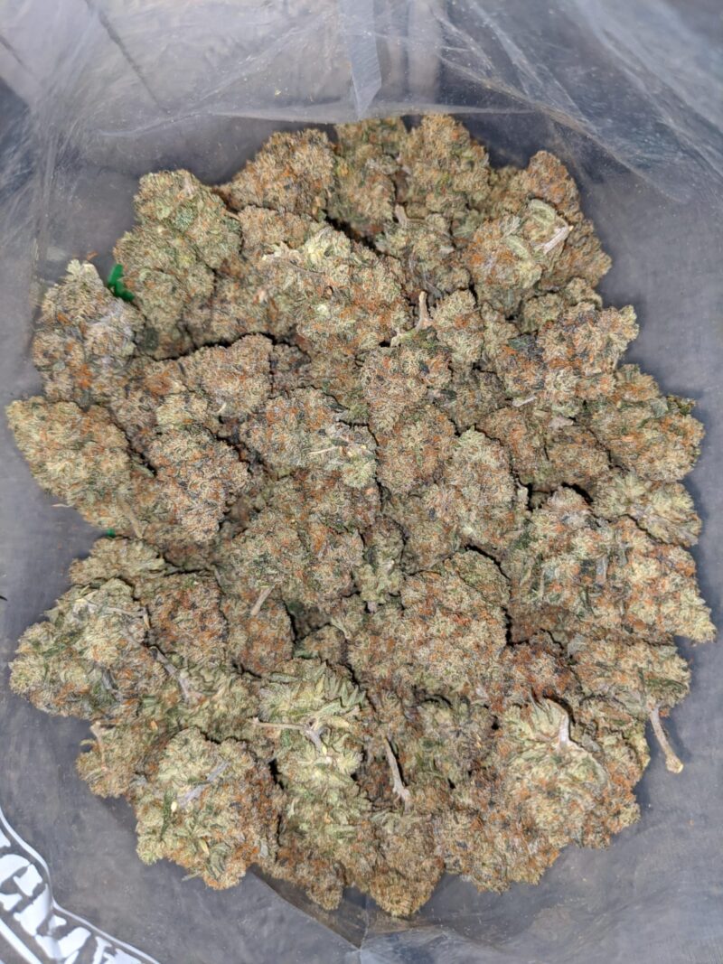 Jack Diesel - Image 5