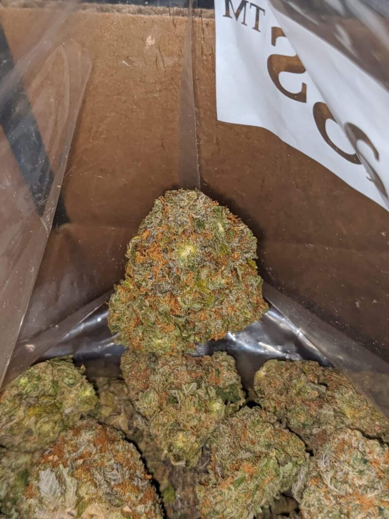 Jack Frost #2 - Image 5