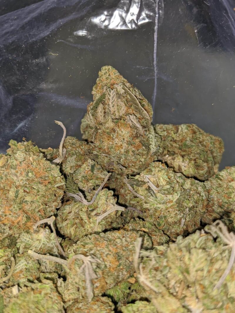 $ 52 Oz – Jack Frost - Image 4