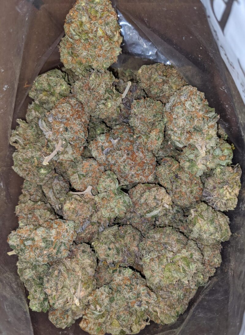 Jack Frost #2 - Image 4