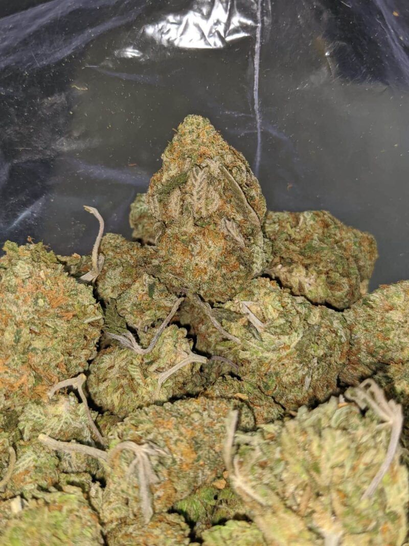 $ 52 Oz – Jack Frost - Image 7