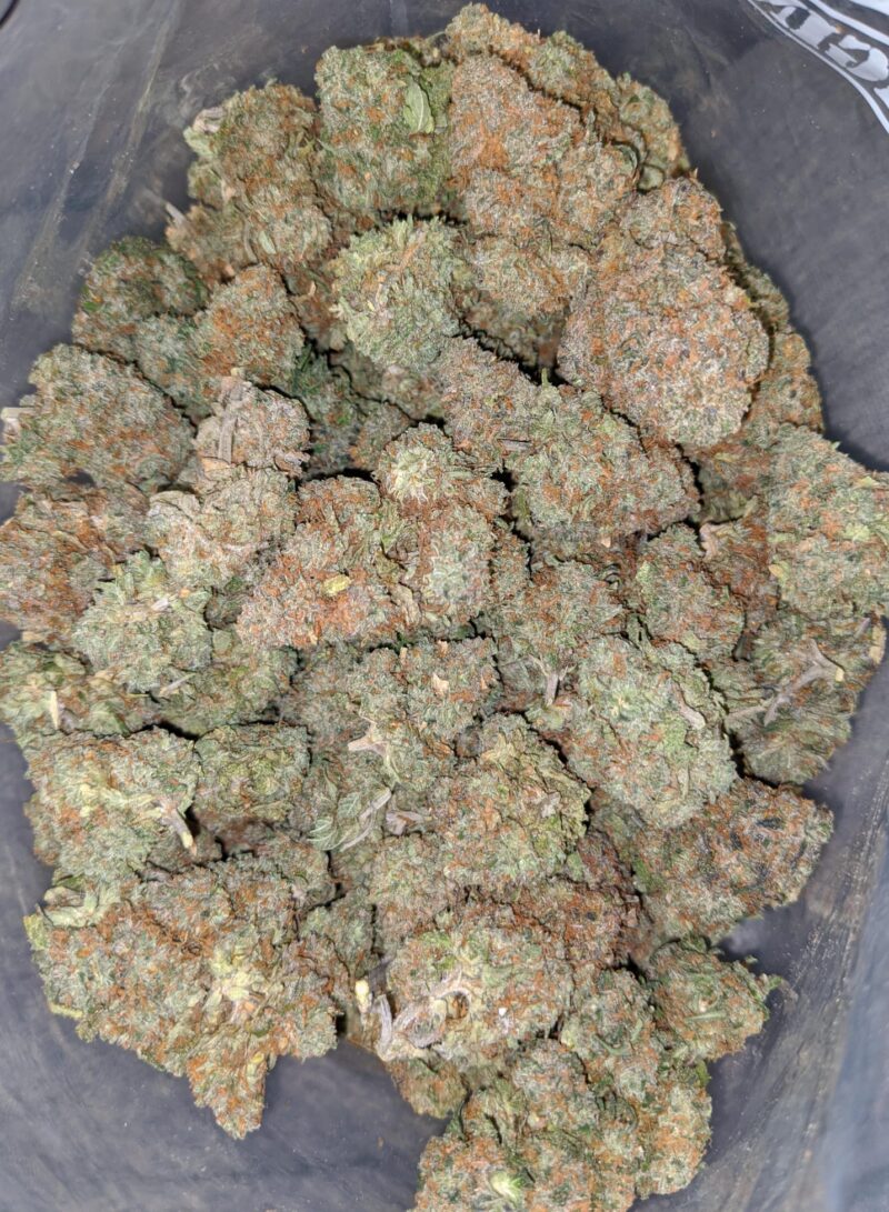Jelly Bean - Image 4