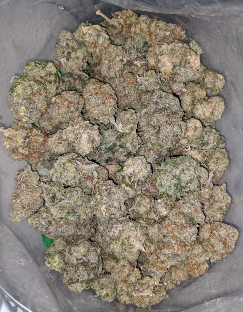 Jungle Breath – *Deal Of The Day* - Image 4