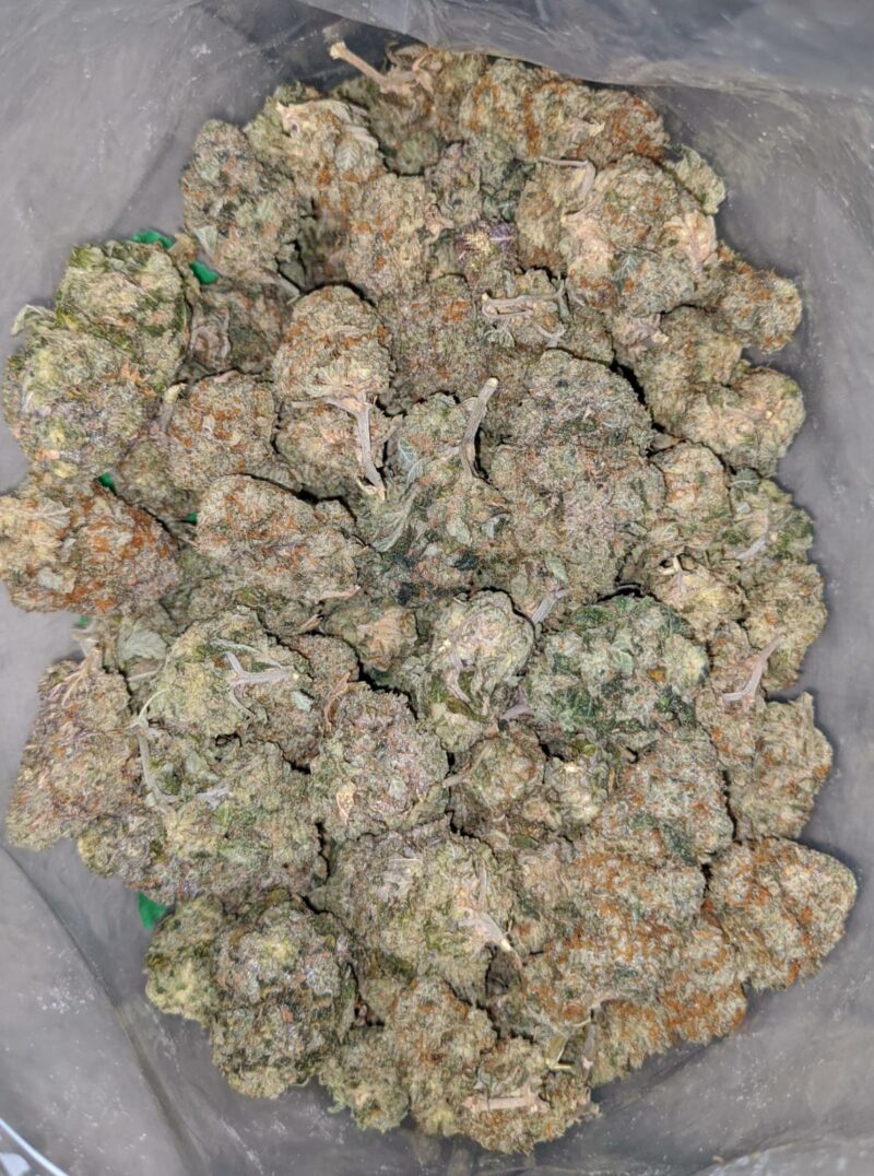 Jungle Breath – *Deal Of The Day* - Image 7