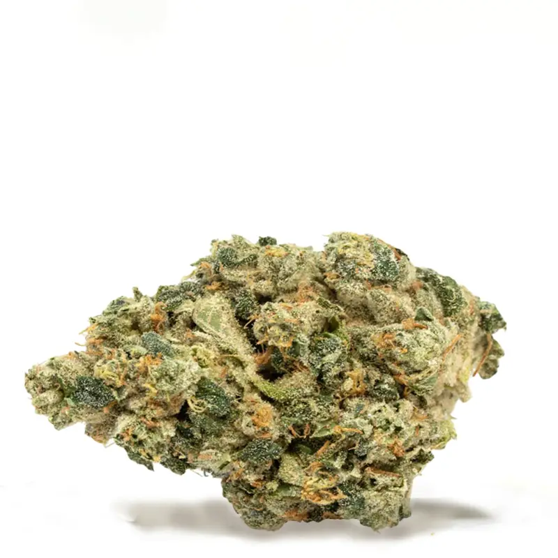 Key Lime Pie