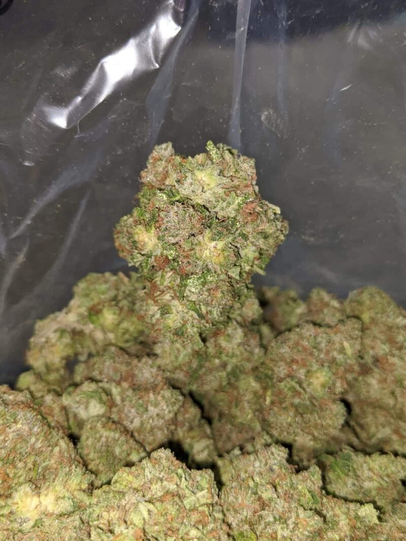 Kings Kush - Image 4