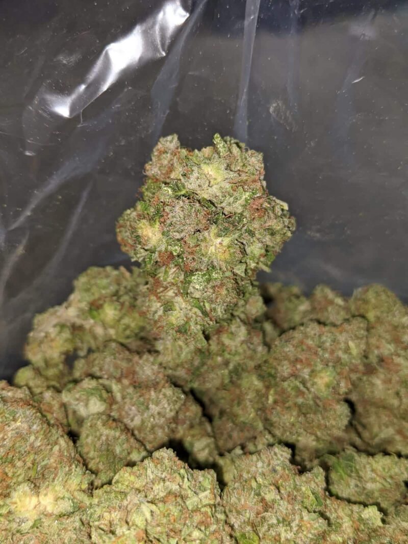 Kings Kush - Image 7