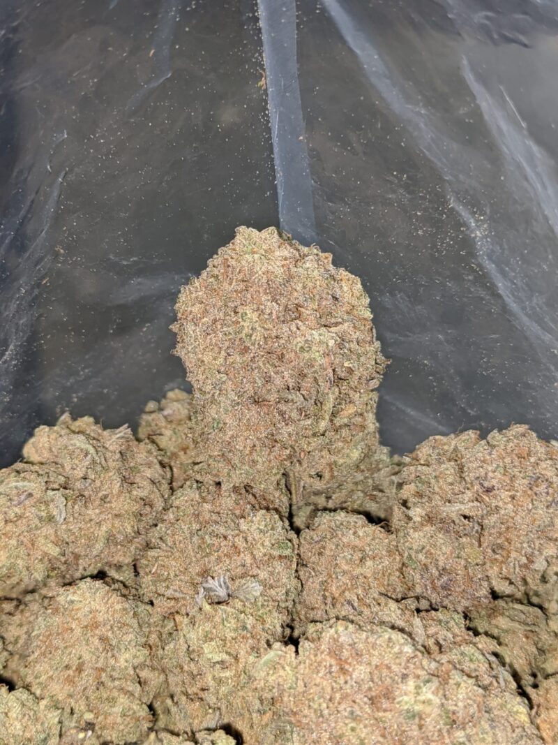 Kushberry - Image 5