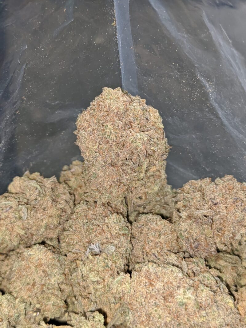 Kushberry - Image 4