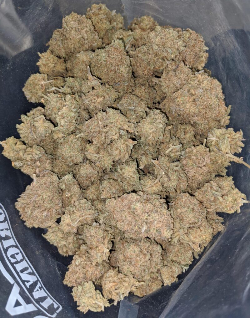 Kushberry - Image 7