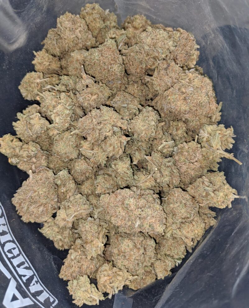 Kushberry - Image 6