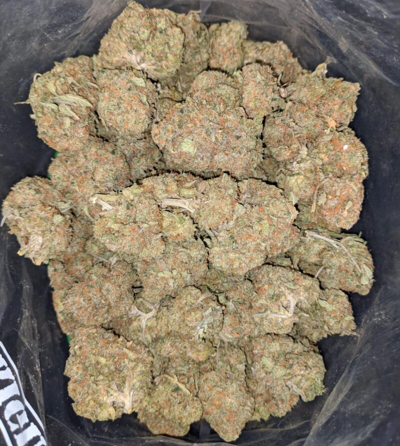 LA Cake Breath - Image 5