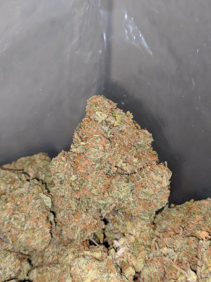 LA Cake Breath - Image 7