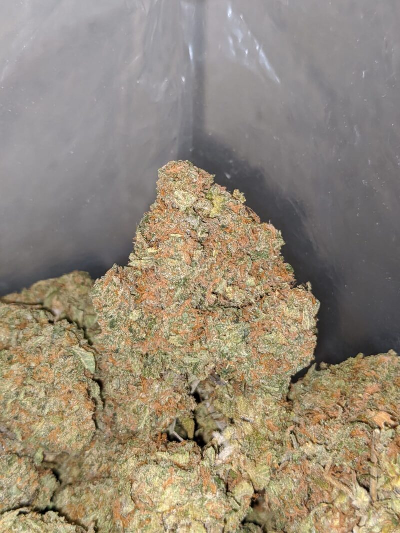 LA Cake Breath - Image 6