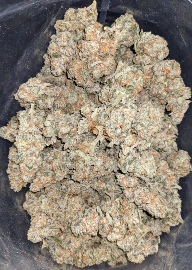 Larry OG – *Deal Of The Day* - Image 4