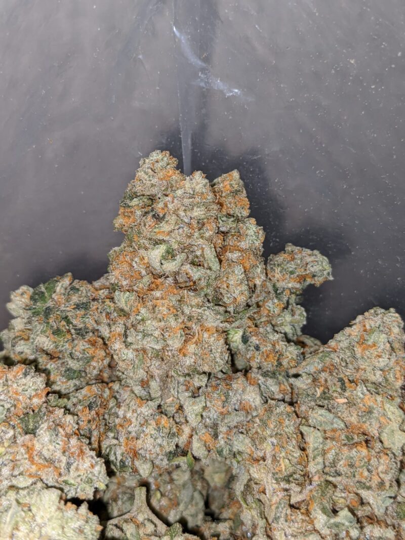 Larry OG – *Deal Of The Day* - Image 7