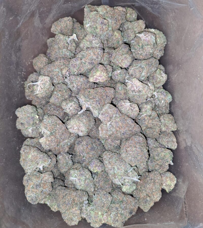 Lemon Cookies – *Deal of the Day* - Image 4