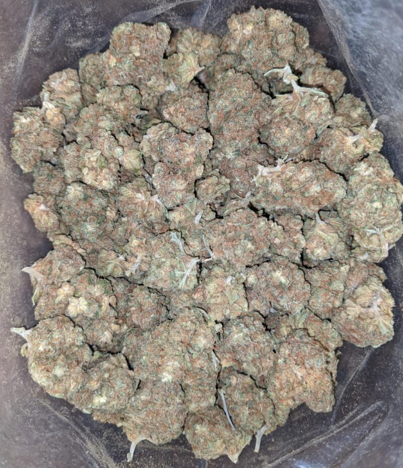 $ 38 Oz – Lemon Diesel - Image 4