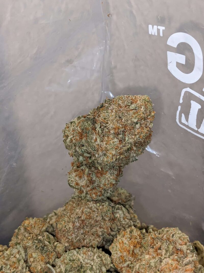 Lemon Fuel - Image 7