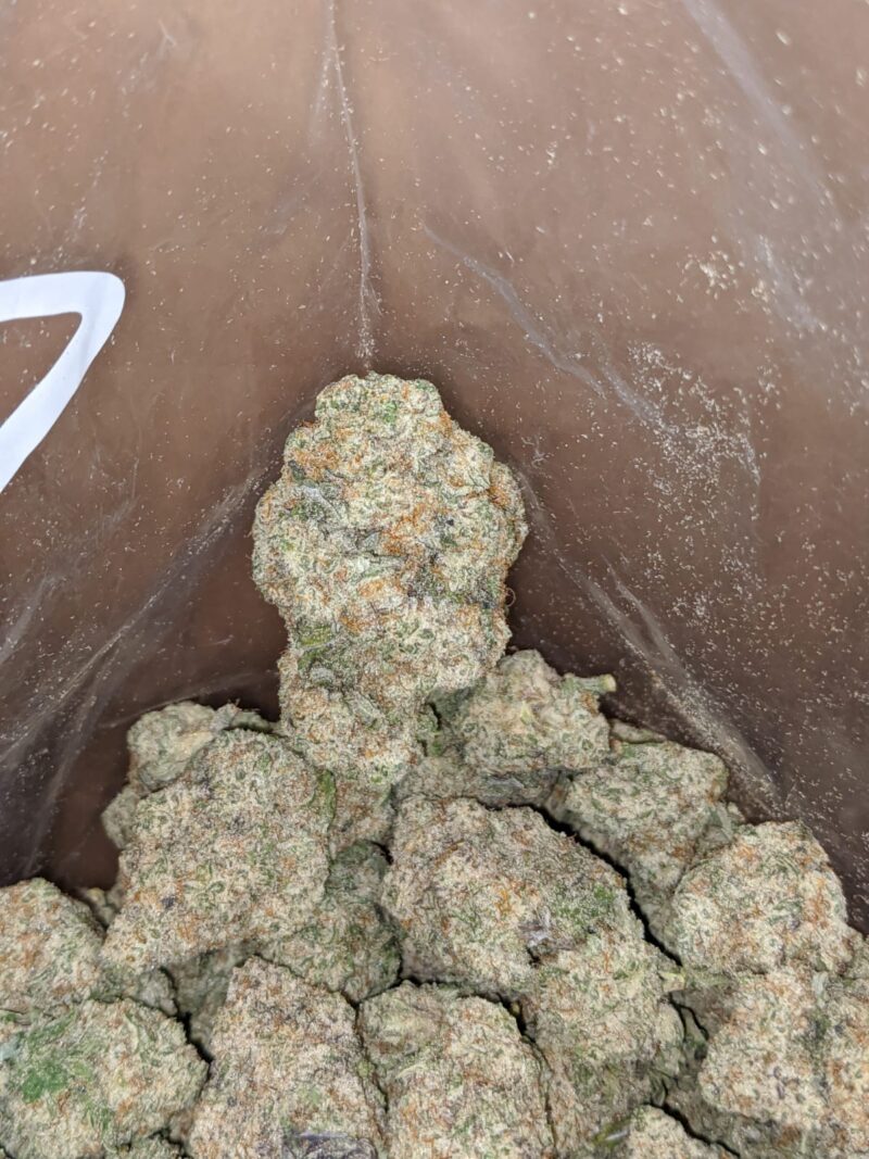 Lucky Charms #2 - Image 4