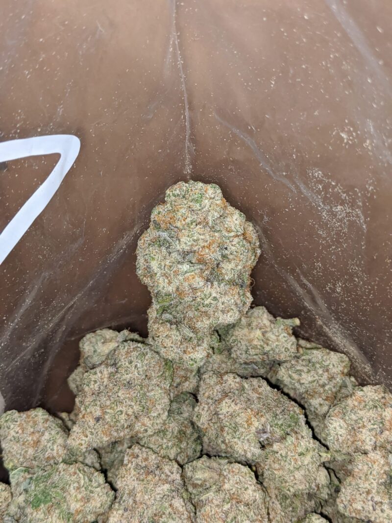 Lucky Charms #2 - Image 7