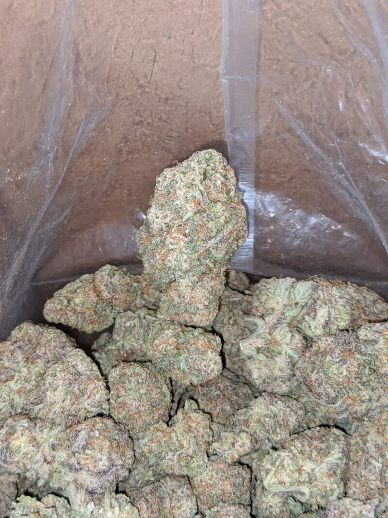 Miracle Alien Cookies #10 - Image 5