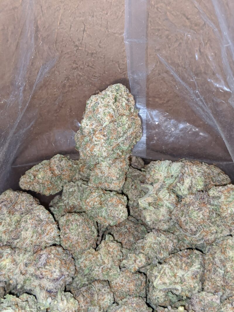 Miracle Alien Cookies #10 - Image 4