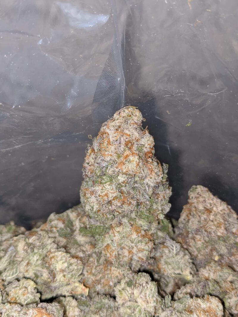 Mac 10 X Cookies - Image 4