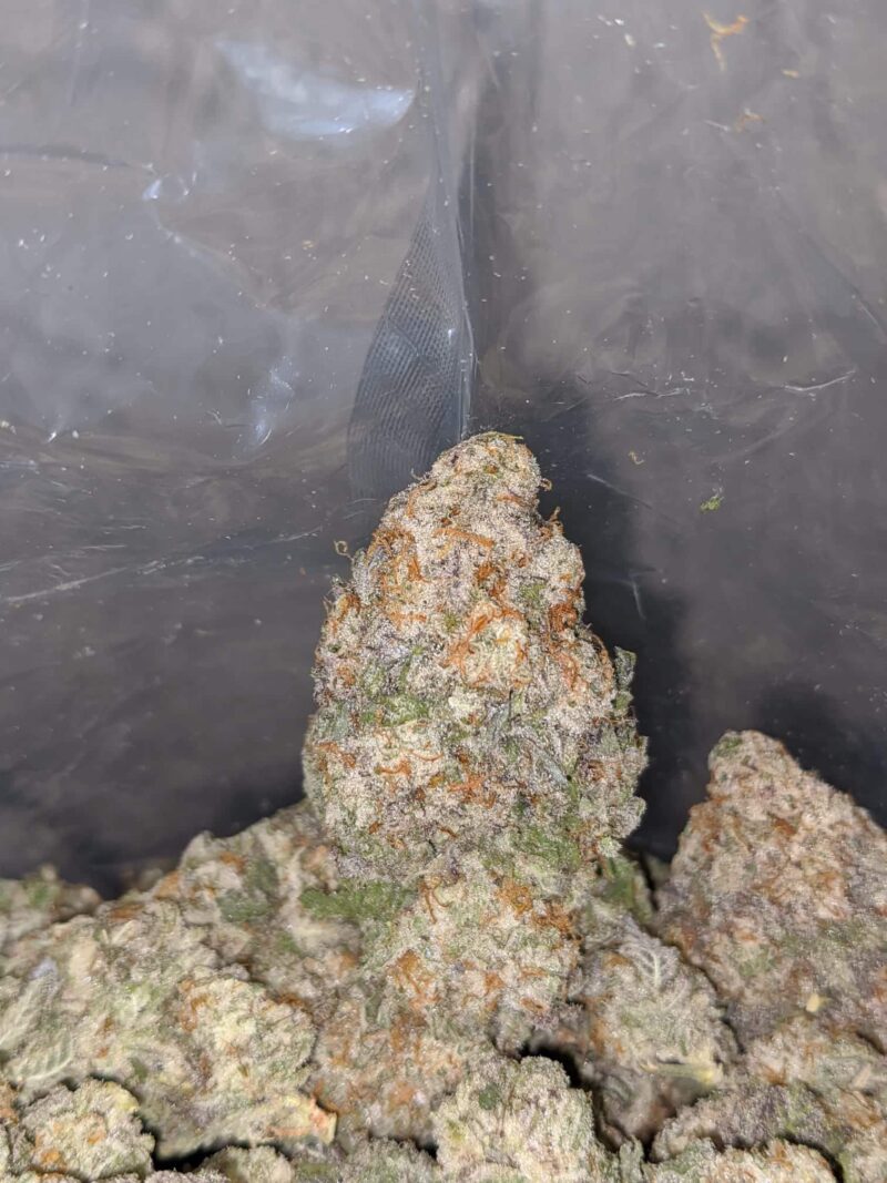 Mac 10 X Cookies - Image 7