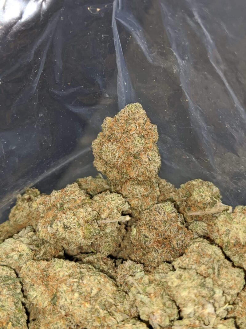 Mandarin Cookies - Image 7