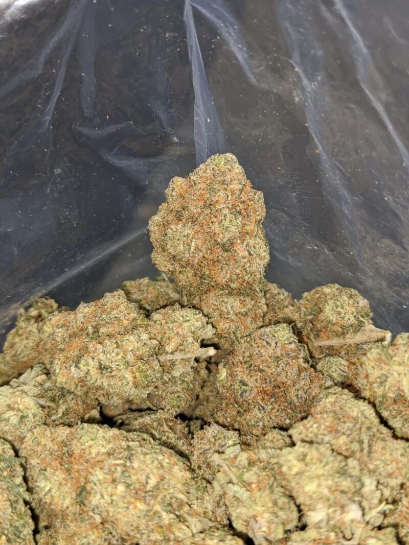 Mandarin Cookies - Image 6