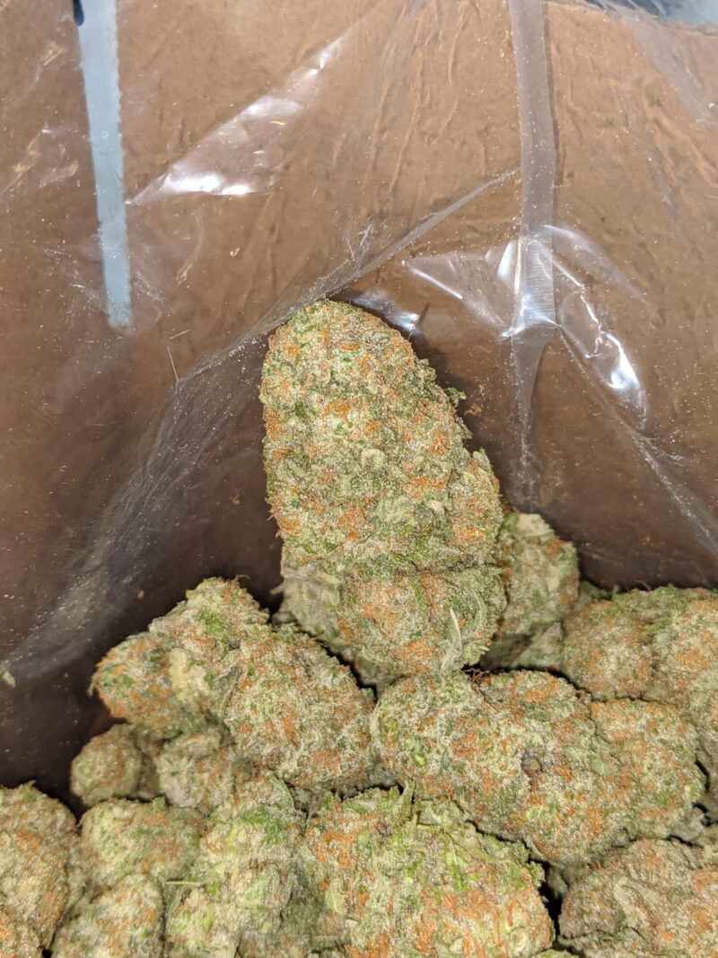 Mango Cookies - Image 7
