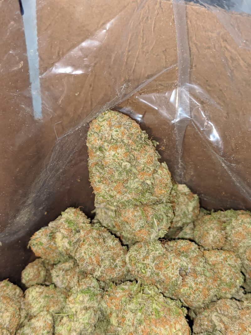 Mango Cookies - Image 6