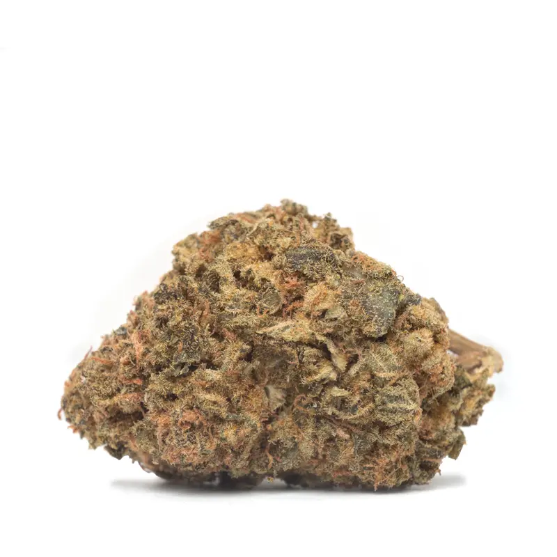 Master Bubba