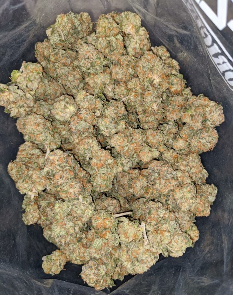 Master Yoda OG - Image 6