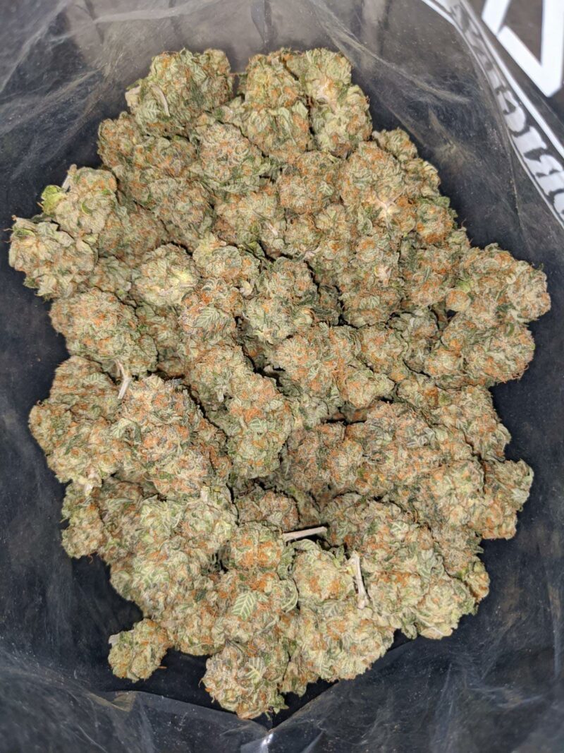 Master Yoda OG - Image 5