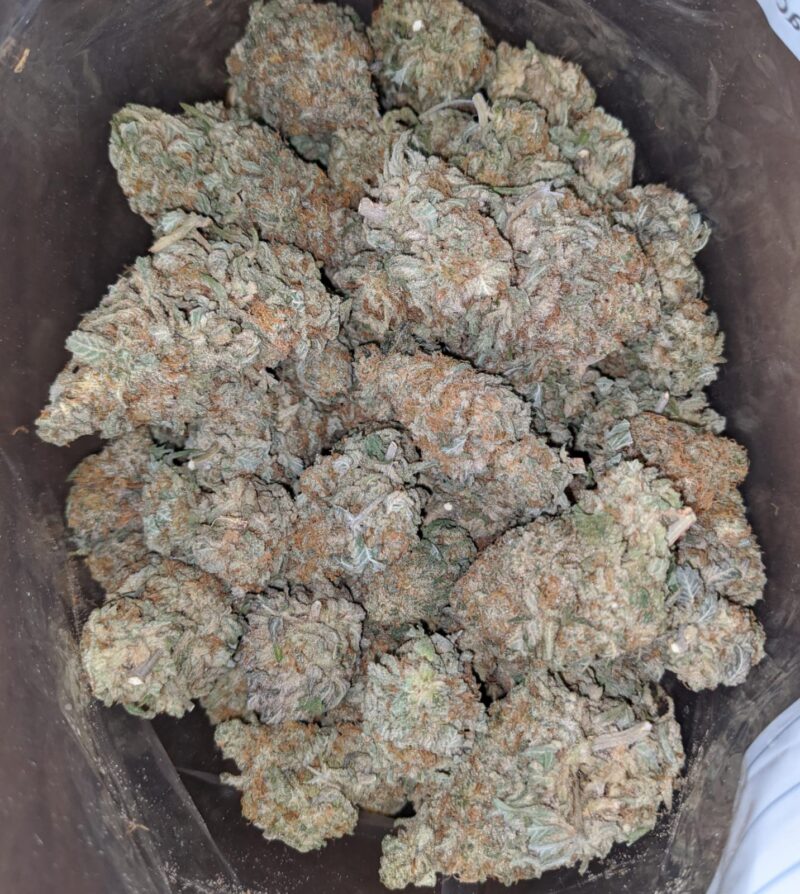 Melonberry - Image 6