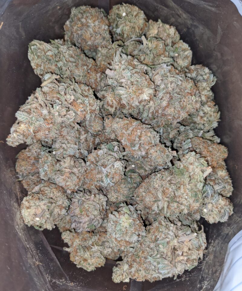 Melonberry - Image 5