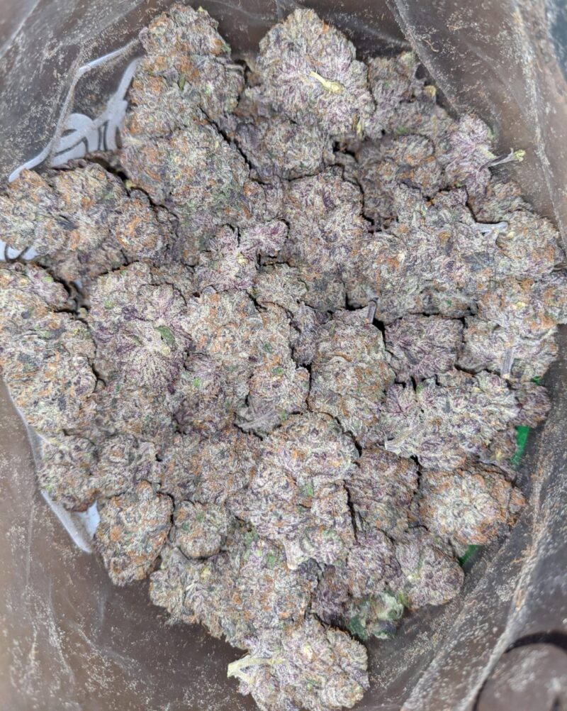 Mendocino Purps – *Deal Of The Day* - Image 5
