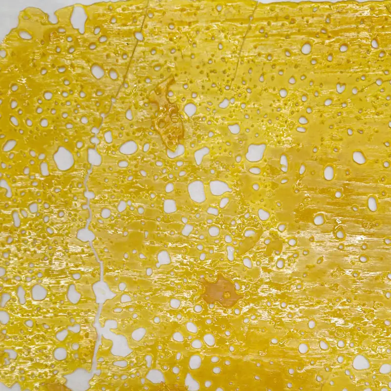 Mimosa Shatter