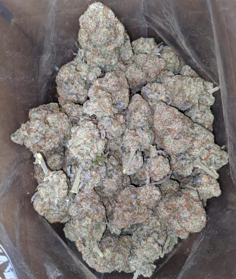 Miracle Alien Cookies #2 - Image 5