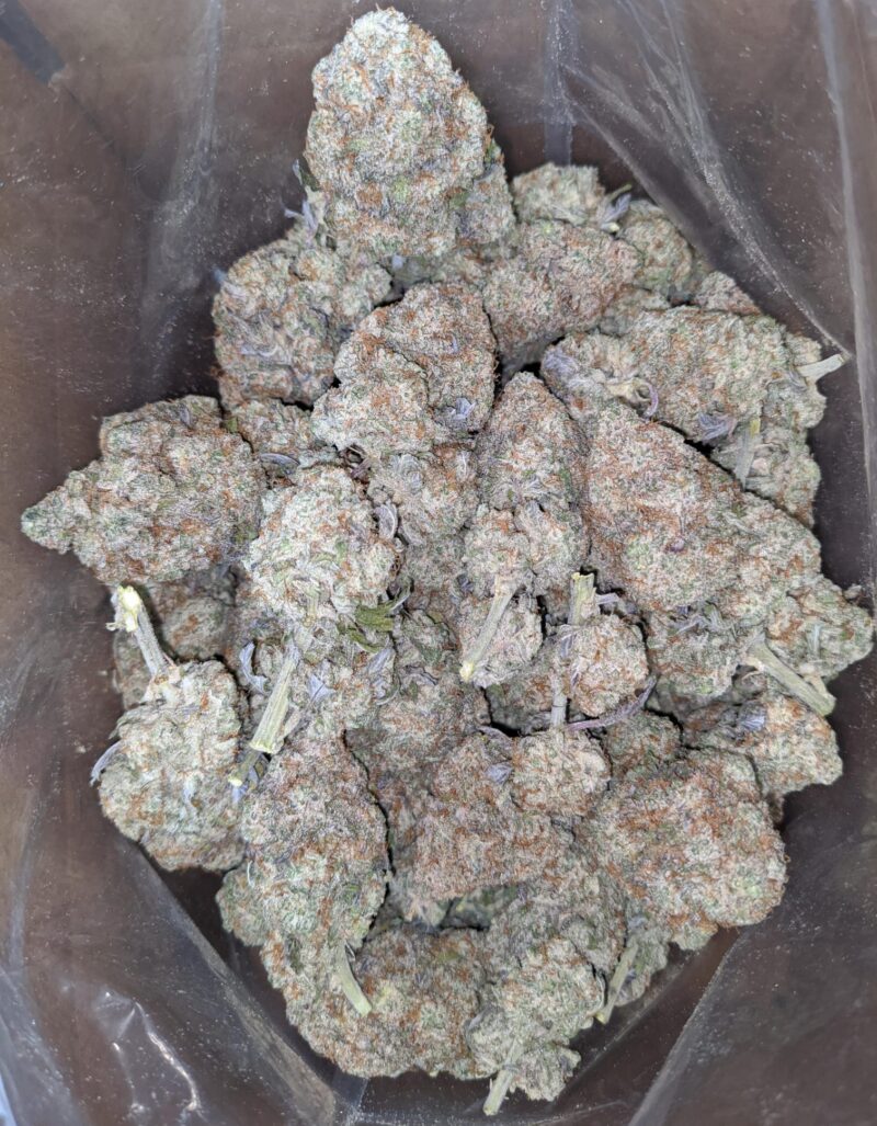 Miracle Alien Cookies #2 - Image 4