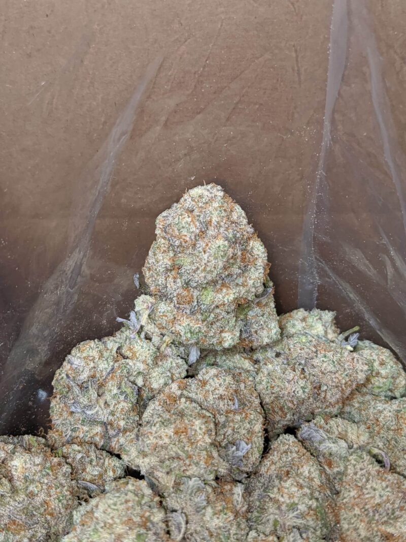 Miracle Alien Cookies #2 - Image 6