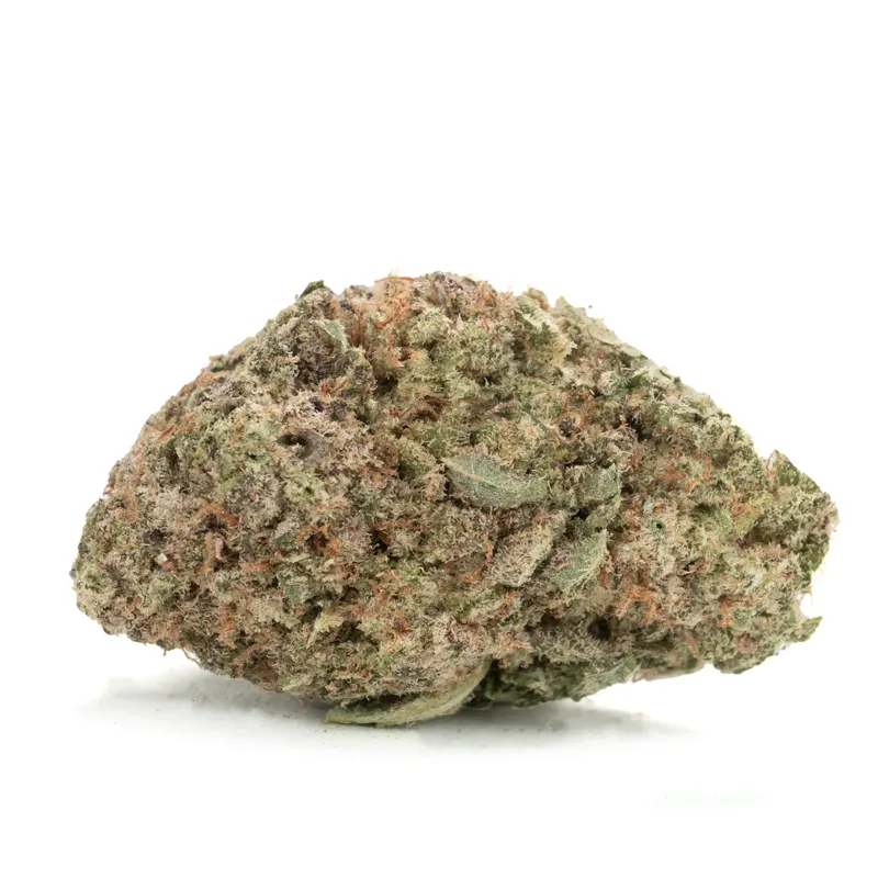 Miracle Alien Cookies