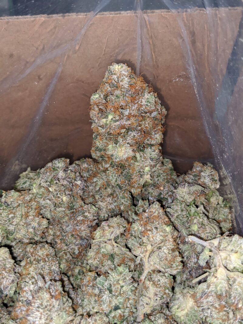 Mob Boss #2 - Image 6