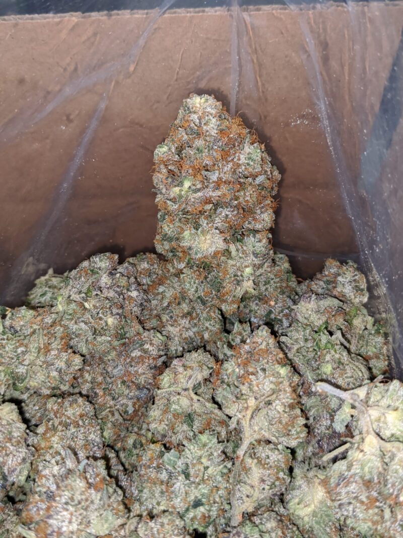 Mob Boss #2 - Image 5