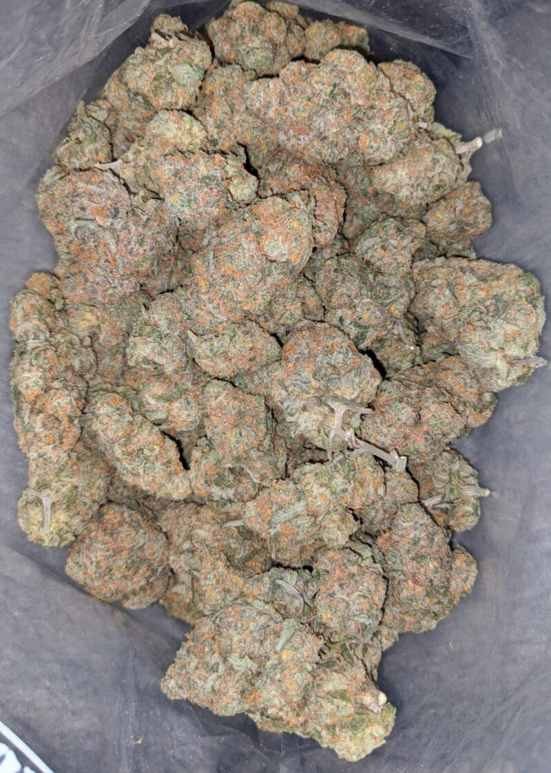 Moby Dick - Image 6